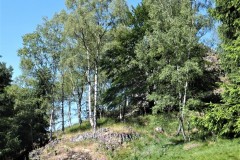 DSCF6283-2