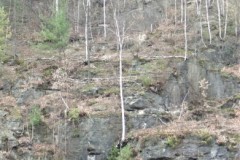 DSCN8348