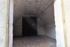 DSCF6706
