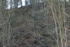 DSCF6709