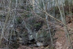 DSCF6710