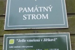 DSCF2217-2