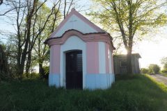DSCF0562