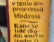 DSCF8978-3