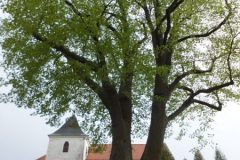 DSCF0141