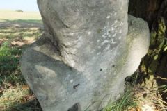 DSCF8656