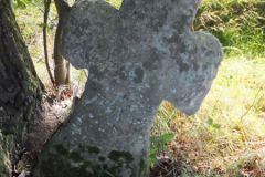 DSCF8657