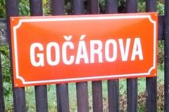 DSCF9169-1