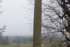 DSCF5675