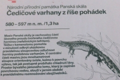DSCF5678