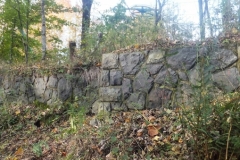 DSCF8144