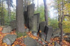 DSCF8146