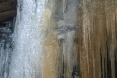WP_20180225_005