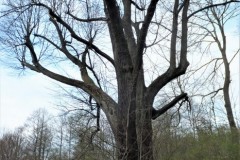 DSCF5722-3