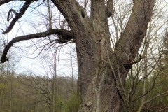 DSCF5723-3