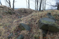 DSCF5176