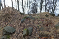 DSCF5177