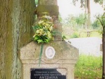 DSCF8964-3