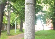 DSCF3205