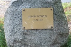 DSCF3207