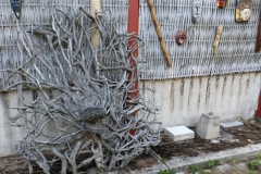 DSCF2196