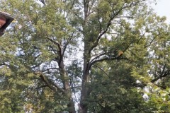 DSCF9316-4