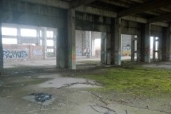 WP_20180112_003-2