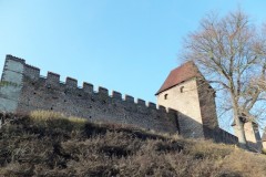 DSCF4928-2