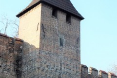 DSCF4930-2