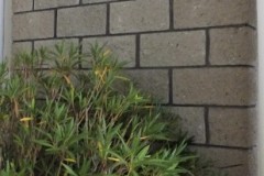 DSCF2403-2