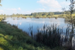 DSCF9642-1