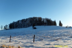 DSCF3157-2