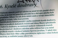 DSCF9167-3