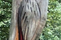 DSCF9199-4