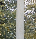 DSCF4317