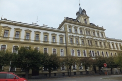 DSCF4318