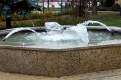 DSCF4303 (2)