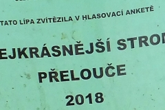 DSCF4304