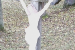 DSCF9375-1