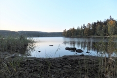 DSCF3913