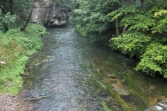 DSCF4907