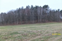 DSCF62502