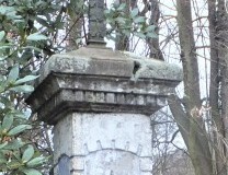 DSCF68022