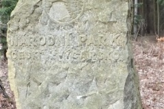 DSCF6778