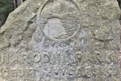 DSCF6779