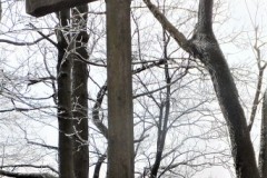 DSCF6270