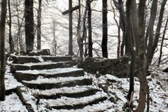 DSCF6271