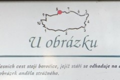 DSCF67623