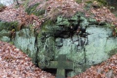DSCF6132