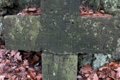 DSCF6133